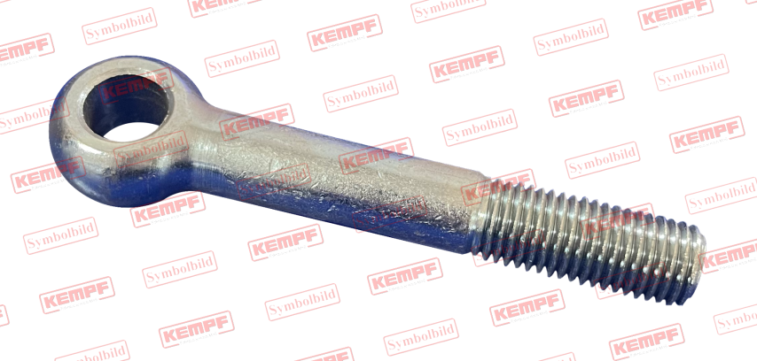 111793 Augenschraube M16x159